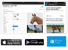 Mobile App Development for Watership Down Stud